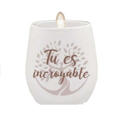 1717 Tu es incroyable