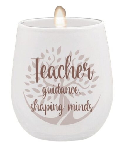 1754 Teacher guidance, shaping minds