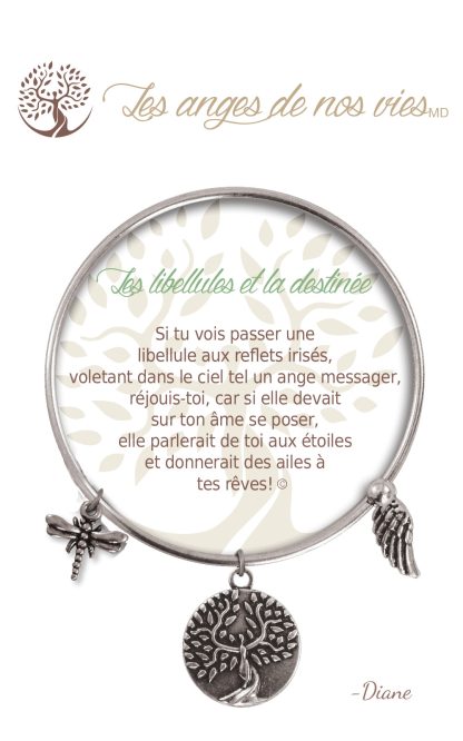 8522-1 Les libellules et la destinée