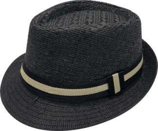 H399-1